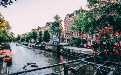 Zwanger in de stad: waarom steeds meer vrouwen kiezen voor verloskundigen in Amsterdam Zuidoost